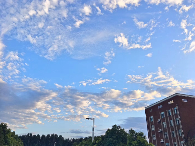 又被鄭州的藍(lán)天刷屏！隨便一拍就是手機(jī)壁紙