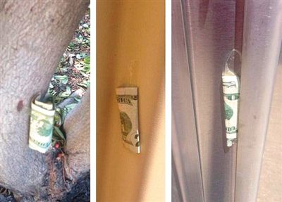 “隱藏的鈔票”會被神秘人藏在公園、廁所等“奇怪的地方”。