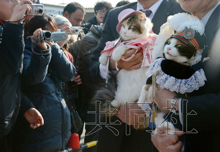 圖為粉絲們簇?fù)碇鞍⒂瘛闭鹃L（右）。左側(cè)為其部下“二玉”。