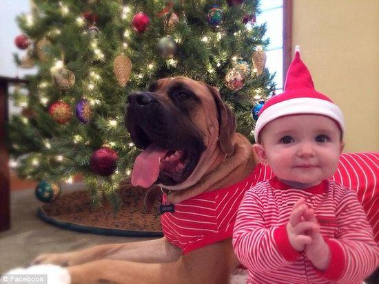 圖為美國(guó)2歲大的寵物犬與主人9個(gè)月大的女?huà)搿D片來(lái)源：臉譜網(wǎng)站（Facebook）。