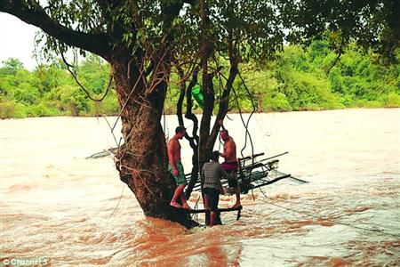 蓋屋、種菜，“從沒這樣快樂”