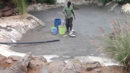 穆克的養(yǎng)殖場(chǎng)，鱷視眈眈下的工作人員。