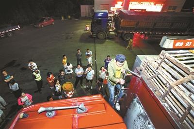 浙江動保人士高速攔車救貓 假稱出車禍叫來民警