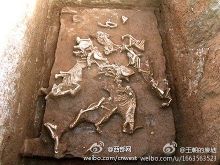 墓穴現(xiàn)場(chǎng) 墓穴現(xiàn)場(chǎng)