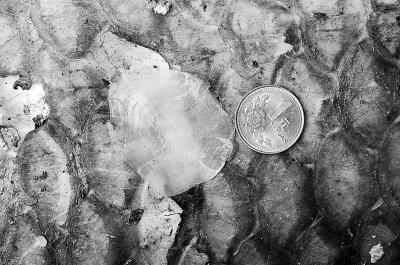 男子湖中釣起70斤大青魚(yú) 折騰2小時(shí)才把魚(yú)捕上船