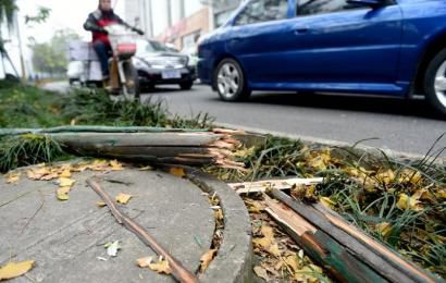 事發(fā)現(xiàn)場，嫌疑車輛撞壞的木樁。