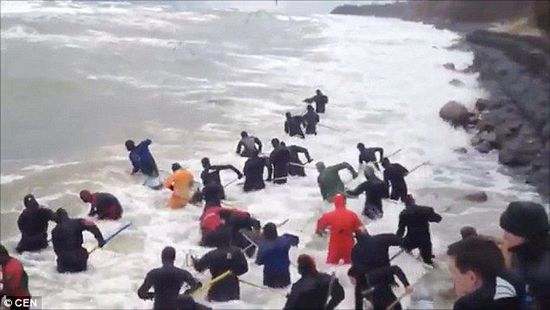 一場暴雨后，俄羅斯加里寧格勒Pionersky鎮(zhèn)，數(shù)十人潛入海水中搜尋琥珀。