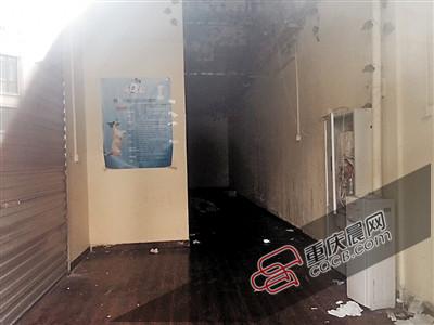 寵物店關(guān)門(mén) 我家生病的狗狗去哪兒了