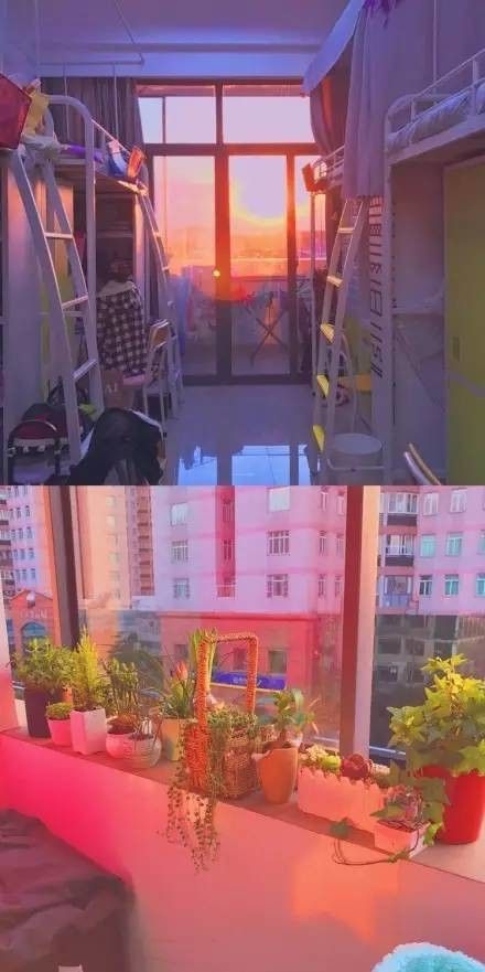 這個學(xué)校的男生宿舍火了！女同學(xué)都喊著要嫁