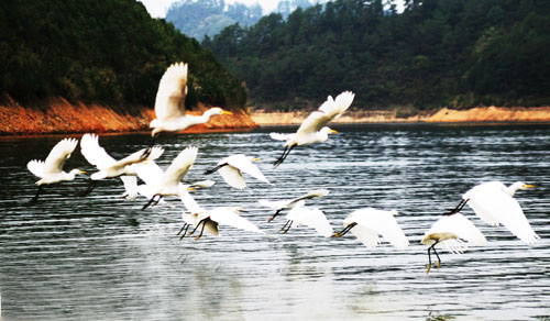 考完去哪兒？千島湖中、高考生門票大優(yōu)惠！