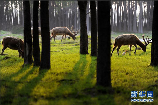 青奧會(huì)指定接待景區(qū) 五大特色景區(qū)開(kāi)啟青奧之旅