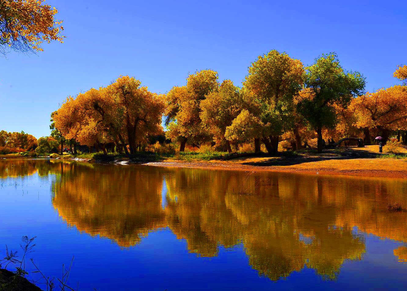 誰(shuí)能禁住五彩世界美妙"色誘" 秋色盡顯"混搭"范兒