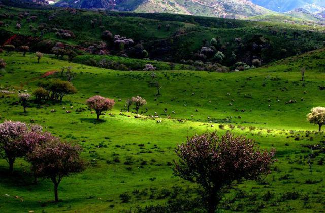 不用花錢的中國好景色 國內(nèi)8個處女風(fēng)景地 不用花錢的中國好景色 國內(nèi)8個處女風(fēng)景地