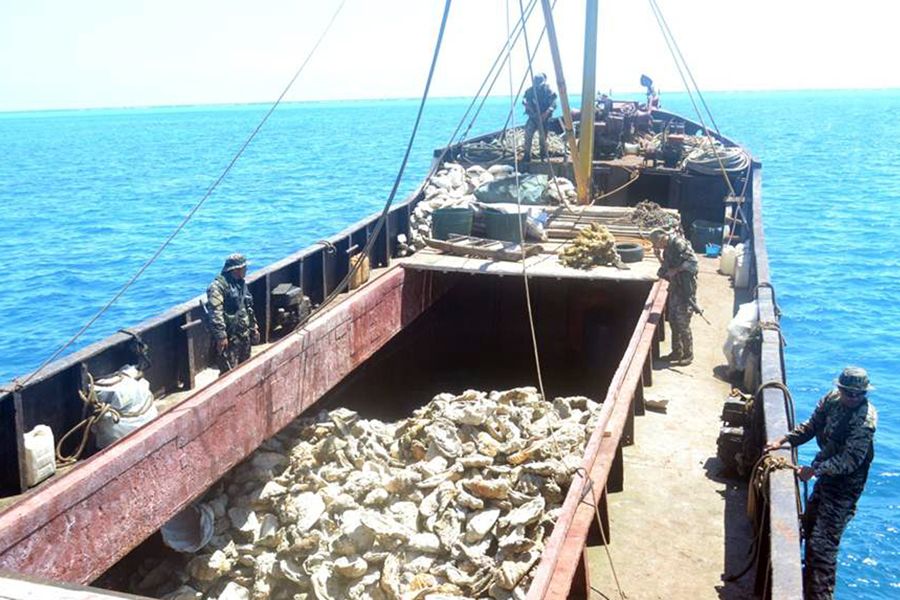 被檢查的中國漁船被菲方指控為非法捕魚。圖為菲律賓海軍持槍檢查中國漁民的照片。
