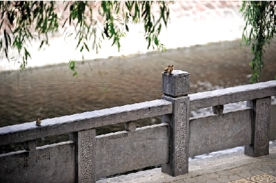 周末有陣雨明天迎來(lái)大暑