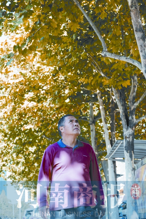 郭長(zhǎng)安巡視自己栽下并管理十年的法桐樹 郭長(zhǎng)安巡視自己栽下并管理十年的法桐樹