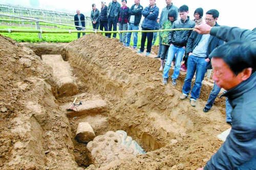 碑帽、赑屃、碑座、碑身依次排開