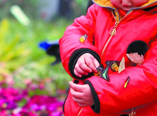 鄭州動物園門票調(diào)整為30元