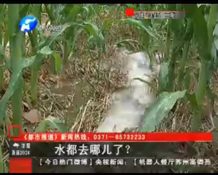 水都去哪了？