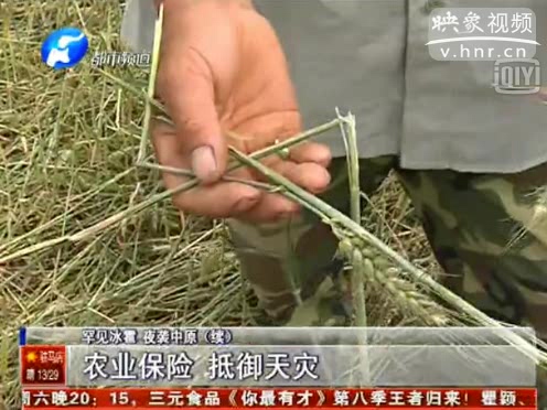 農(nóng)業(yè)保險能挽回多少天災(zāi)損失