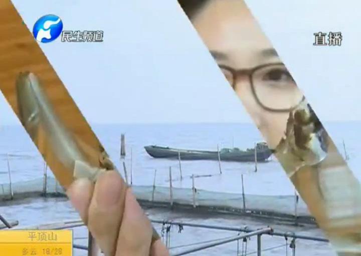 陽澄湖大閘蟹？假的！