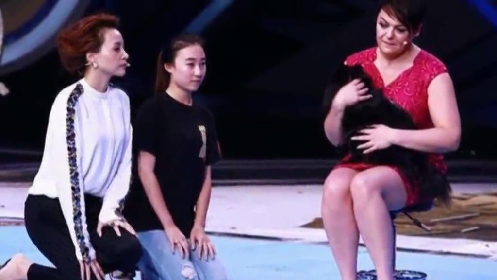 又當(dāng)托？ 董卿節(jié)目現(xiàn)場當(dāng)眾對狗下跪稱被催眠