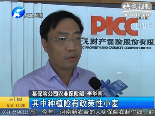 冰雹惹禍 損失能索賠嗎？