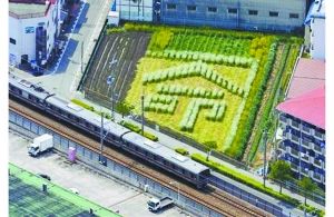 日本2005年列車事故現(xiàn)場附近的一塊農(nóng)田里勾勒出一個“命”字，以警世人。