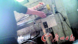 工作人員正在為“土雞蛋”噴日期碼。