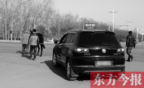 大眾越野車被指剎車不靈險(xiǎn)釀車禍