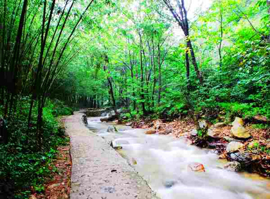 欒川寨溝端午節(jié)