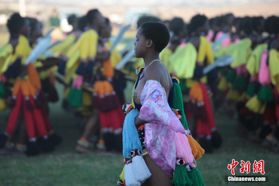 斯威士蘭蘆葦節(jié)開選秀女 十萬“甄嬛”苦盼國王垂青 斯威士蘭蘆葦節(jié)開選秀女 十萬“甄嬛”苦盼國王垂青