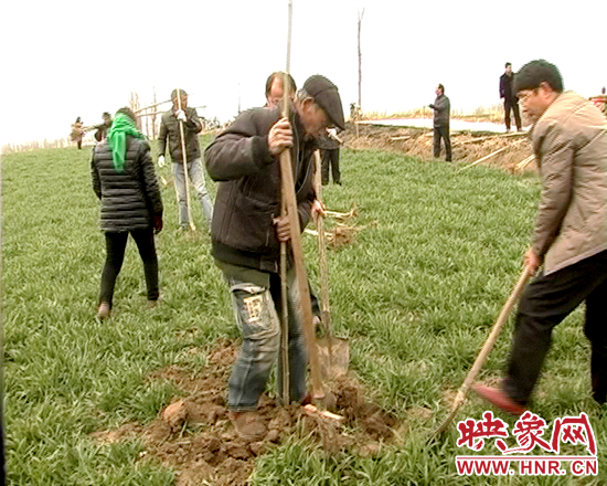 彭橋鄉(xiāng)鄉(xiāng)長(zhǎng)鄧彥雷義務(wù)植樹(shù)