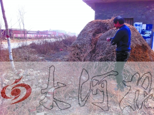 張哥、張弟就是在這兒撿到的投毒面包。